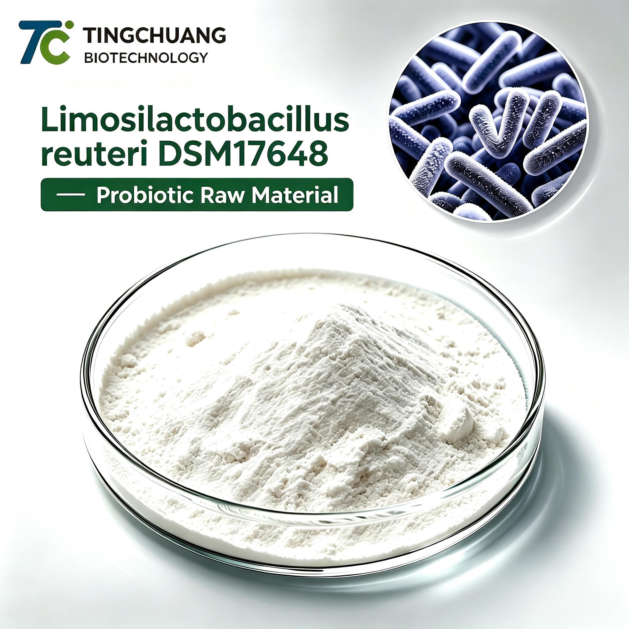 Limosilactobacillus Reuteri DSM 17648 Probiotic Raw Material Bulk Probiotic Powder for Supplements and Functional Food Manufacturing